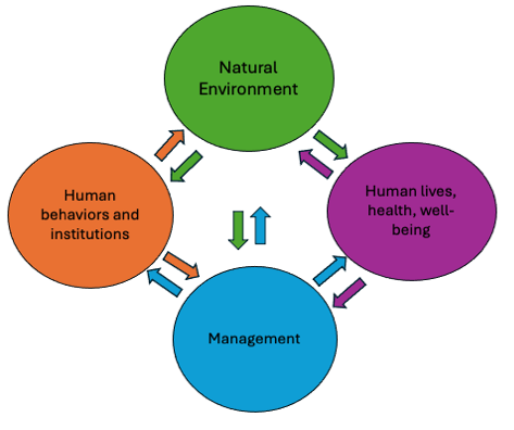 Diagram with four labeled circles: Natural Environment at the top, Human behaviors and institutions on the left, Human lives, health, well-being on the right, and Management at the bottom. Arrows show interactions between them.