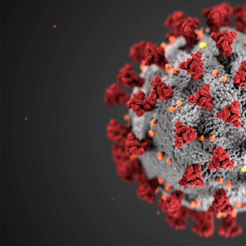 Image of a coronavirus particle.