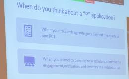PowerPoint slide that says "When do you about a 'P' application?"