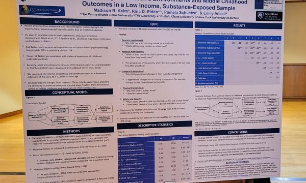 The conference featured a poster session during lunch.