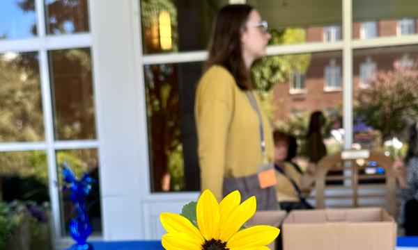 Photo of a yellow flower. 