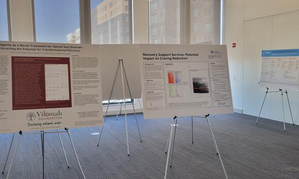Selection of posters from the Poster Session.
