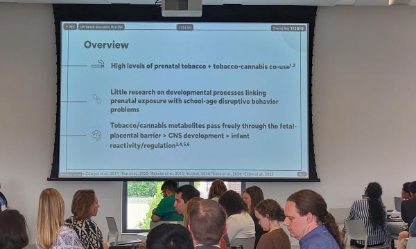 Wide shot from Madison Kelm's PowerPoint presentation.